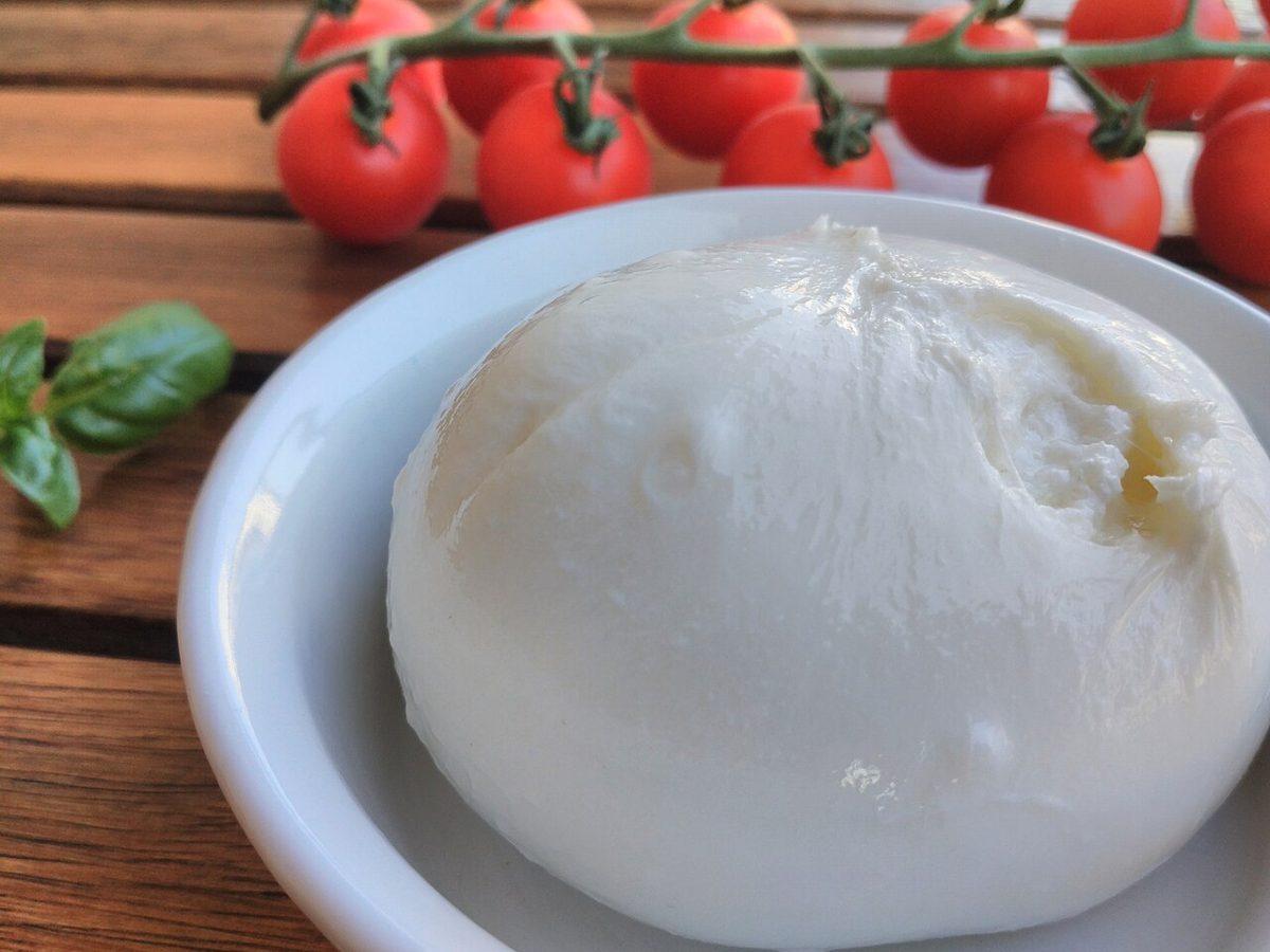 Burrata, photographed