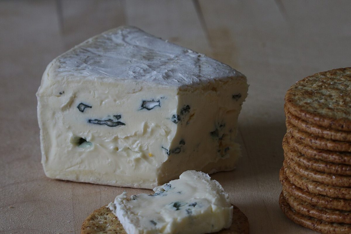 Cambozola, photographed