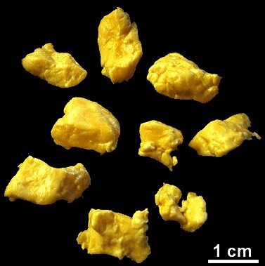 Cheese curds, photographed