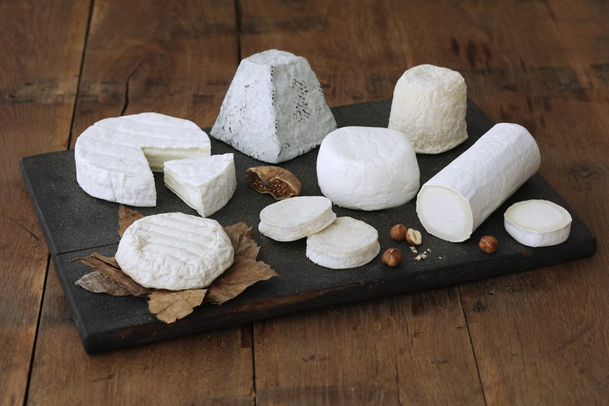 Chèvre, photographed