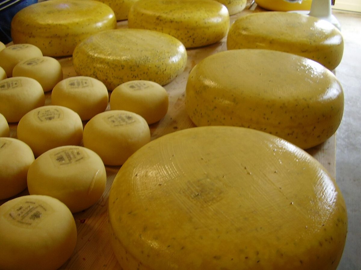 Gouda, photographed