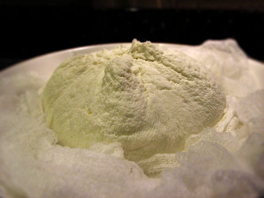 Queso blanco, photographed