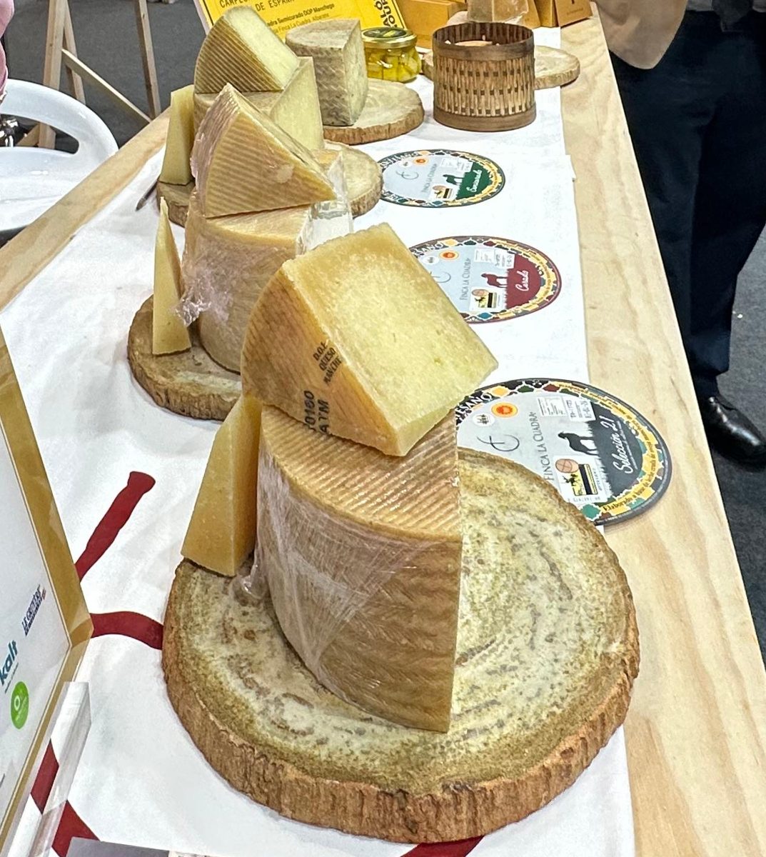 Manchego, photographed