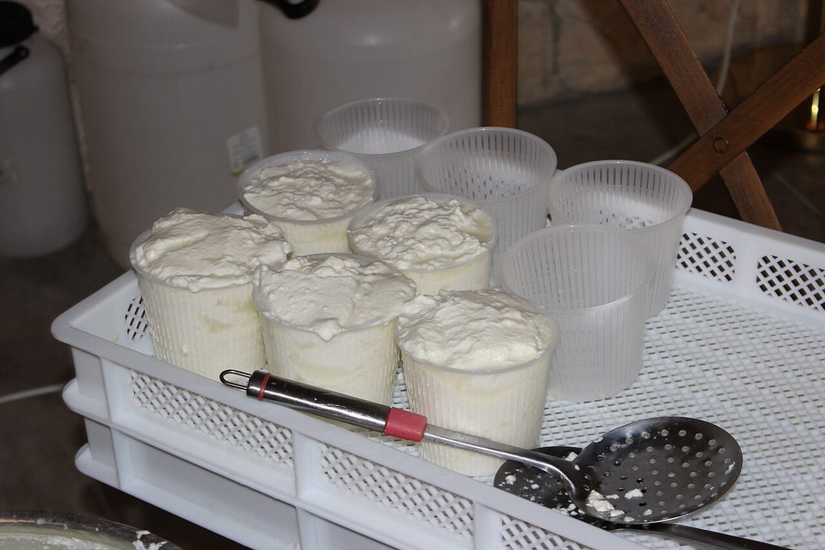 Ricotta, photographed