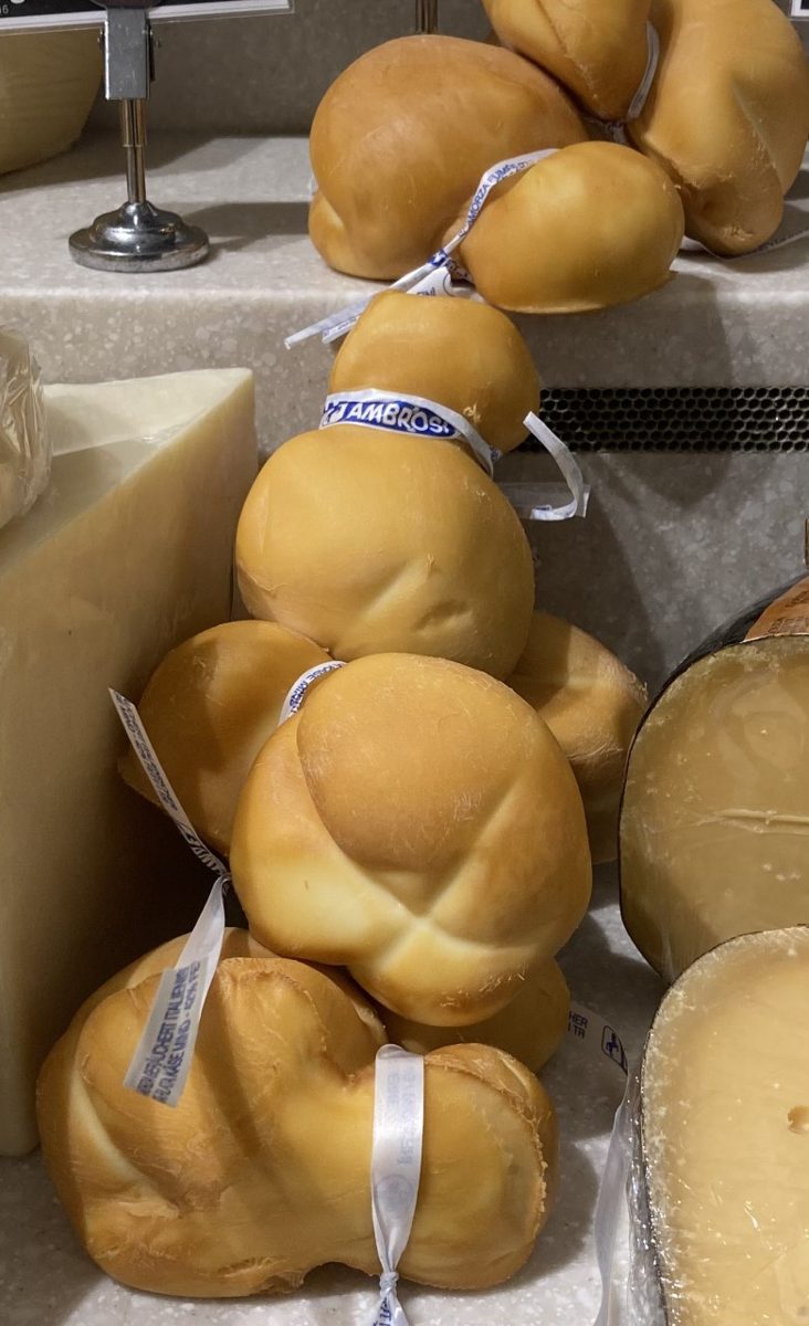 Scamorza, photographed
