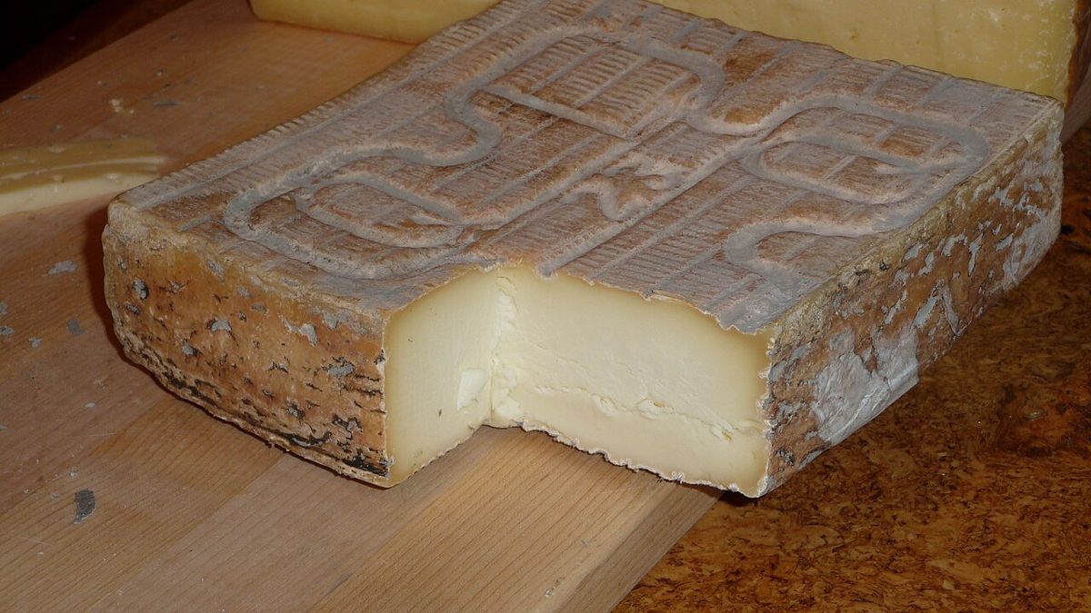 Taleggio, photographed